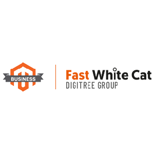 Sklepy internetowe b2c - Tworzenie sklepów internetowych - Fast White Cat