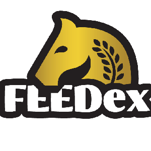 Suplementy dla koni na stawy - Suplementy dla kotów - Feedex